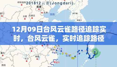 台风云雀最新动态，风云变幻下的实时追踪路径分析（12月09日更新）