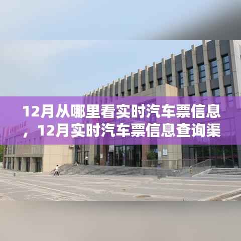 12月汽车票实时信息查询攻略,渠道优劣分析与选择建议