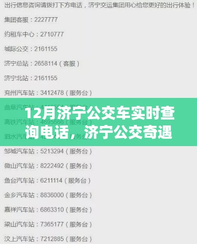 济宁公交奇遇记,十二月暖心电话实时查询服务