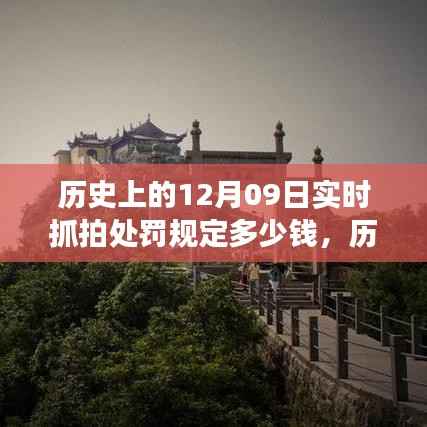 水浄鹅飞 第4页