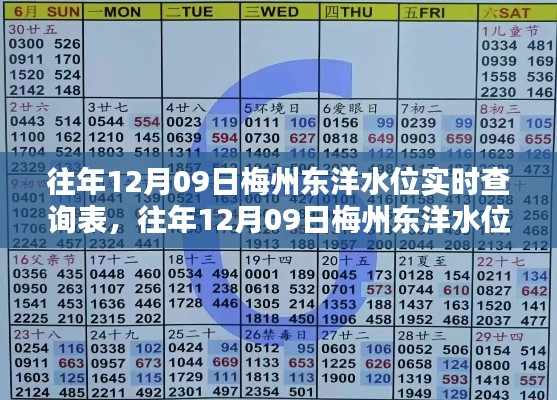 往年12月09日梅州东洋水位实时查询表,详细步骤指南及水位数据概览