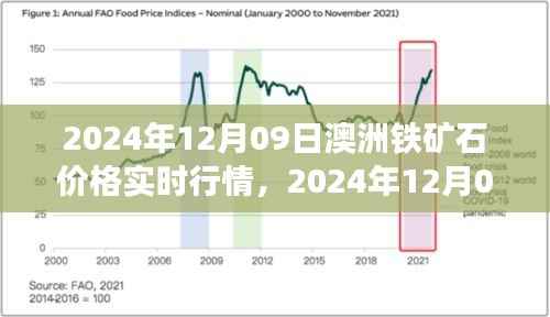 澳洲铁矿石价格实时行情深度解析(2024年12月09日)