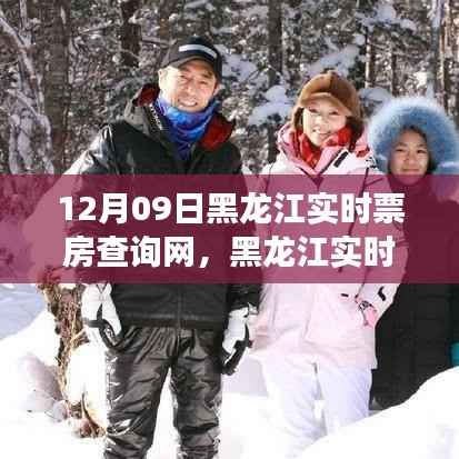 黑龙江实时票房查询网,见证电影市场的繁荣与变迁历程(12月09日)