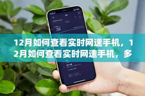 探讨多方观点与个人立场,12月手机实时网速查看方法