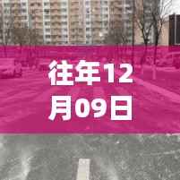 灵丘县天气预报下的温情日常,友情与陪伴的温暖故事