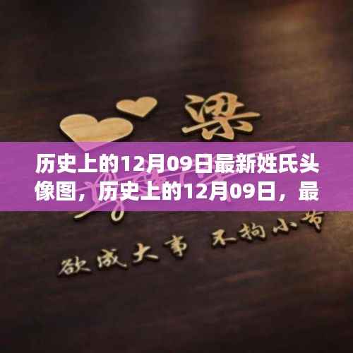 历史上的12月09日，最新姓氏头像图的深度解读与观点碰撞日探秘