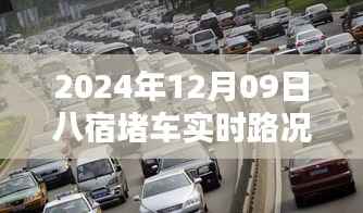 八宿堵车下的温情相伴,实时路况与旅途中的爱