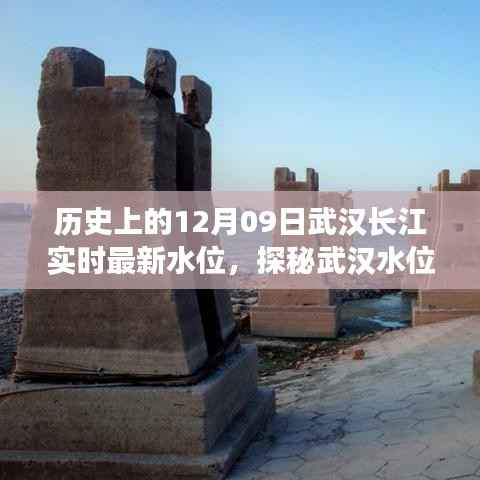 揭秘武汉长江水位变迁与小巷风情,一家隐藏小店的独特故事——武汉长江实时最新水位报告(12月09日)