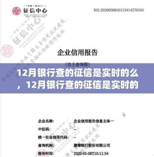 揭秘十二月银行征信查询实时性,流程、注意事项全解析
