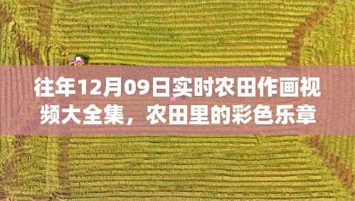 暖心友谊见证下的农田彩色乐章,实时作画视频集锦