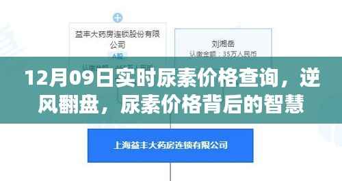 逆风翻盘,尿素价格背后的智慧与勇气,实时查询与学习变化之旅