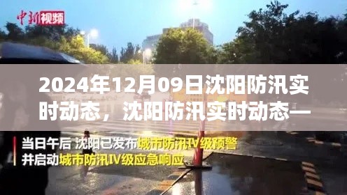 2024年12月09日沈阳防汛实时动态,城市防线的坚守与应对