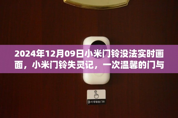 小米门铃失灵记，技术与情感的碰撞挑战实时画面功能