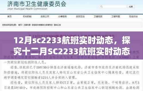 探究十二月SC2233航班实时动态，双刃剑效应下的动态追踪技术