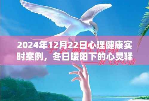冬日暖阳下的心灵驿站,心理健康的温馨故事与实时案例分享