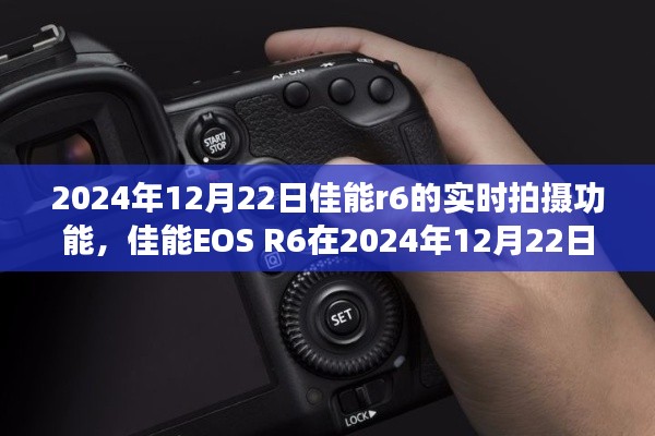 佳能EOS R6实时拍摄功能深度评测与介绍,2024年12月22日体验分享