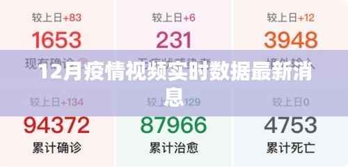 12月疫情实时视频数据更新及最新消息汇总