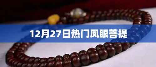 凤眼菩提大热，12月27日最新资讯