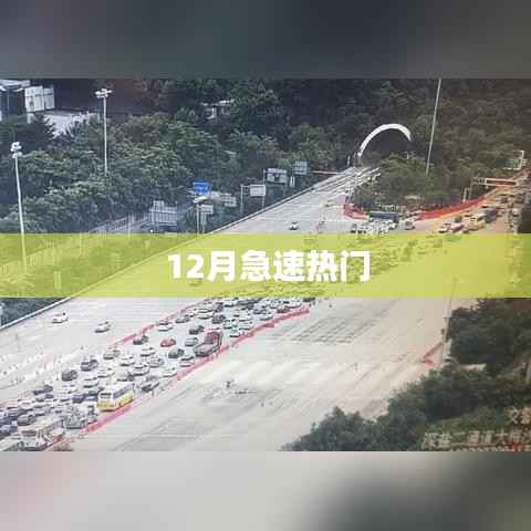12月热点速递，最新热门事件回顾