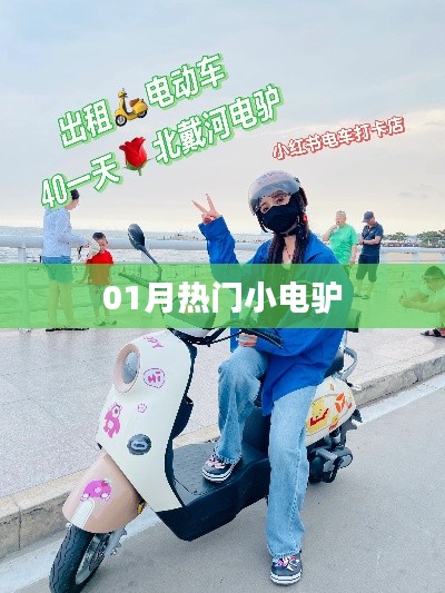 热门小电驴,一月新宠上榜