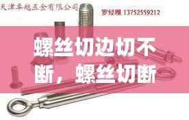 百不一遇 第2页