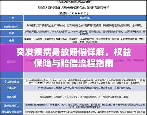 突发疾病身故赔偿详解,权益保障与赔偿流程指南