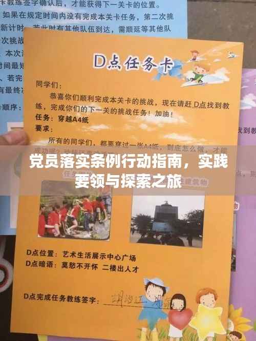 党员落实条例行动指南,实践要领与探索之旅