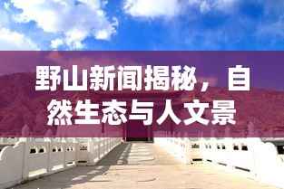 野山新闻揭秘,自然生态与人文景观的最新动态揭秘