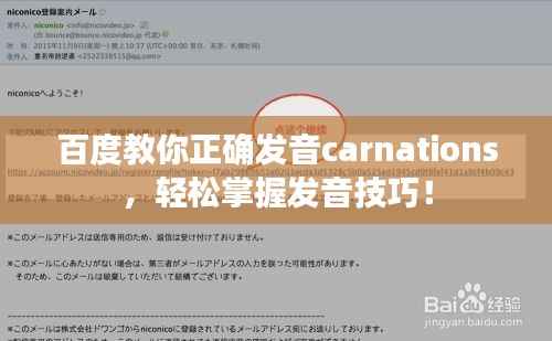百度教你正确发音carnations,轻松掌握发音技巧!