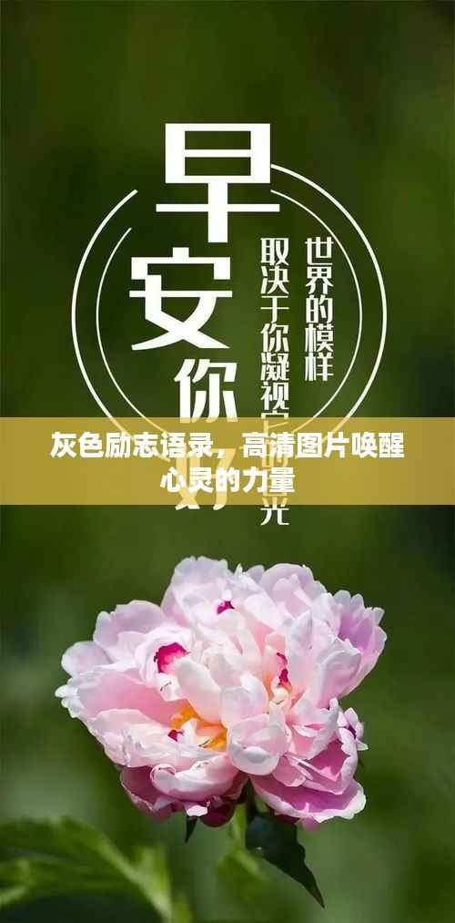 灰色励志语录,高清图片唤醒心灵的力量