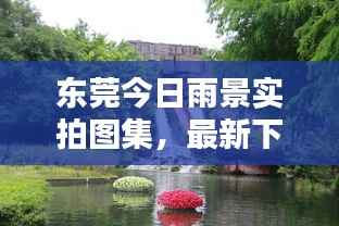 东莞今日雨景实拍图集,最新下雨瞬间一网打尽