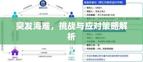 突发海难,挑战与应对策略解析