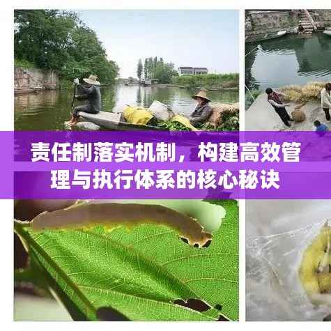 责任制落实机制,构建高效管理与执行体系的核心秘诀