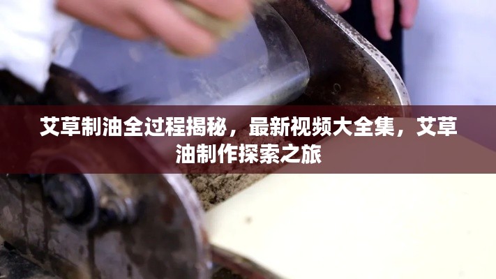 艾草制油全过程揭秘,最新视频大全集,艾草油制作探索之旅