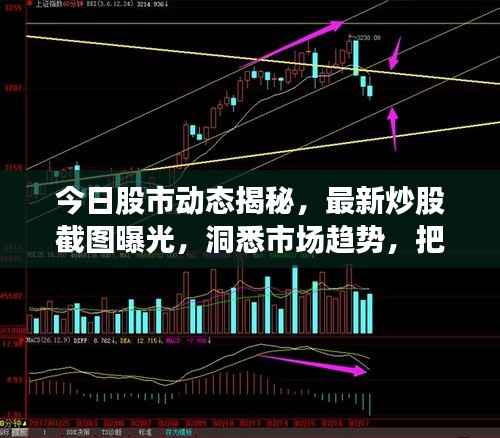 今日股市动态揭秘,最新炒股截图曝光,洞悉市场趋势,把握投资机会!