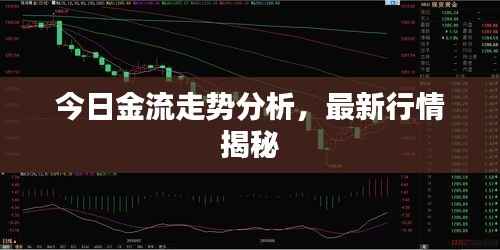今日金流走势分析，最新行情揭秘
