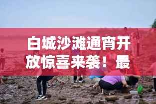 白城沙滩通宵开放惊喜来袭!最新消息一网打尽
