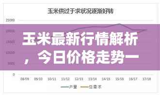 玉米最新行情解析,今日价格走势一网打尽