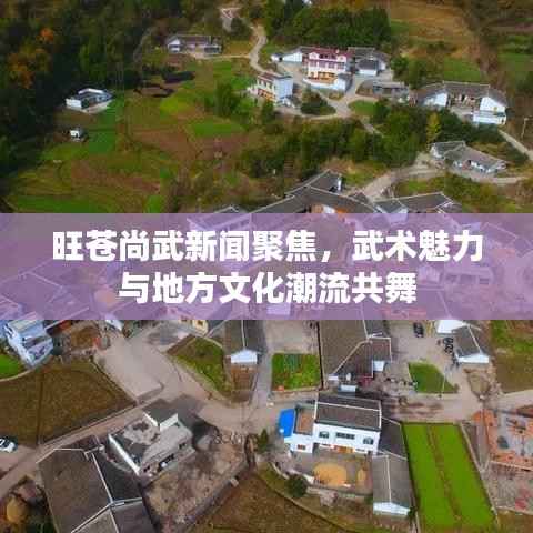 旺苍尚武新闻聚焦,武术魅力与地方文化潮流共舞