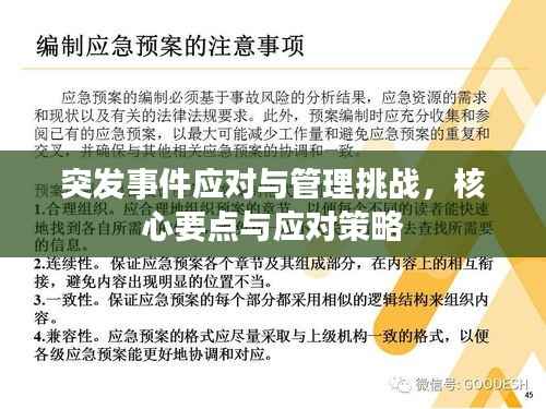 突发事件应对与管理挑战,核心要点与应对策略
