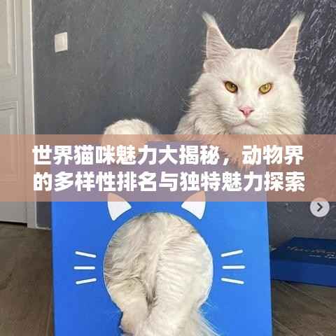 世界猫咪魅力大揭秘,动物界的多样性排名与独特魅力探索
