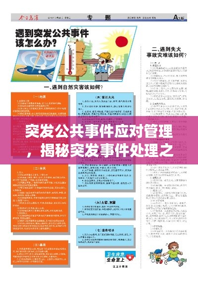突发公共事件应对管理,揭秘突发事件处理之道