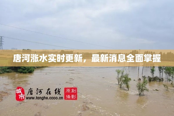 唐河涨水实时更新，最新消息全面掌握