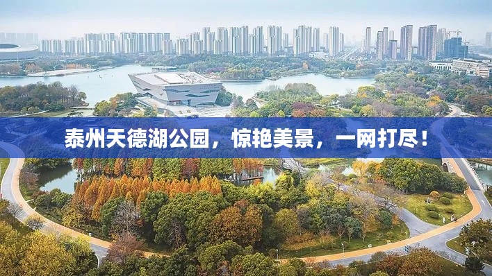 泰州天德湖公园,惊艳美景,一网打尽!