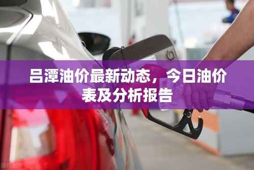 吕潭油价最新动态,今日油价表及分析报告