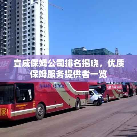宣威保姆公司排名揭晓,优质保姆服务提供者一览