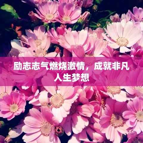 励志志气燃烧激情，成就非凡人生梦想