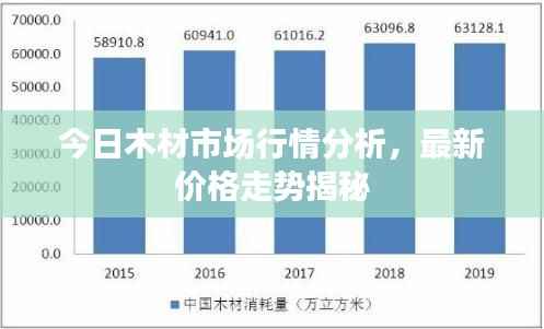 今日木材市场行情分析，最新价格走势揭秘
