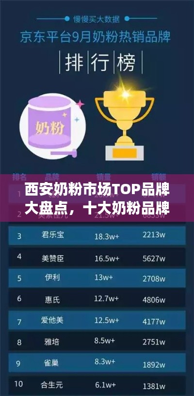 西安奶粉市场TOP品牌大盘点,十大奶粉品牌排名概览