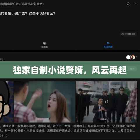 独家自制小说赘婿，风云再起
